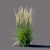 Karl Foerster Reed Grass: Elegant Calamagrostis Accent 3D model small image 3