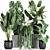 Exotic Plant Collection: Banana Palm, Ravenala, Calathea Lutea 3D model small image 1