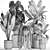 Exotic Plant Collection: Banana Palm, Ravenala, Calathea Lutea 3D model small image 5