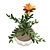 Marigold Bloom: Hand-painted Potted Beauty 3D model small image 3