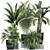 Exotic Plant Collection: Banana Palm, Cigar Plant, Strelitzia 3D model small image 1