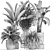 Exotic Plant Collection: Banana Palm, Cigar Plant, Strelitzia 3D model small image 5