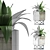 Agave Collection: Clean Geometry, Detailed Texture 3D model small image 4