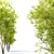 Fraxinus pennsylvanica Summit: Stunning Green Ash 3D model small image 3