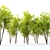 Fraxinus pennsylvanica Summit: Stunning Green Ash 3D model small image 4