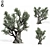  Majestic Olive Tree Sculpture 3D model small image 1