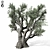  Majestic Olive Tree Sculpture 3D model small image 2