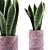 Geometry Collection: Sansevieria 98 3D model small image 1