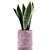 Geometry Collection: Sansevieria 98 3D model small image 2