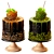 Sweet Temptation: Gourmet Caramel Apple 3D model small image 3