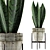 Sculpted Agave Collection: Clean Geometry for Stunning Detail 3D model small image 1