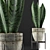 Sculpted Agave Collection: Clean Geometry for Stunning Detail 3D model small image 2