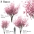 Chinese Magnolia Trio: Saucer Magnolia Set 3D model small image 1