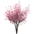 Chinese Magnolia Trio: Saucer Magnolia Set 3D model small image 2