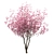 Chinese Magnolia Trio: Saucer Magnolia Set 3D model small image 3