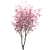 Chinese Magnolia Trio: Saucer Magnolia Set 3D model small image 4