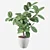 Exquisite Ficus Benghalensis: 3D Plant Collection 3D model small image 2