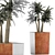 Desert Chic: Mediterranean Plant Collection 3D model small image 4