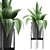 Agave Metal Pot Plant Collection 3D model small image 1