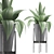 Agave Metal Pot Plant Collection 3D model small image 3