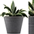 108 Agave Plant Collection: Ornamental & Durable 3D model small image 1