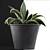 108 Agave Plant Collection: Ornamental & Durable 3D model small image 2