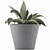 108 Agave Plant Collection: Ornamental & Durable 3D model small image 3