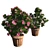 Pink-White Azalea Flowers: Realistic 3D Model & Textures 3D model small image 3