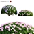 Archived 3D Rhododendron Models 3D model small image 1