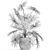 Exotic Palm Collection: Livistona, Coccothrinax, Thrinax 3D model small image 5