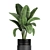 Exotic Banana Palm in Black Vase 3D model small image 2