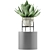 Concrete Planter Agave: Outdoor Plant Collection 3D model small image 2