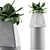 Sleek Agave Plant Collection 3D model small image 1