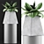 Sleek Agave Plant Collection 3D model small image 3