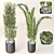 Decorative Plant Duo: Interior Bliss 3D model small image 1
