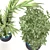 Decorative Plant Duo: Interior Bliss 3D model small image 2