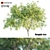 Mesquite: Natural Beauty for Your Home 3D model small image 4