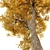 Autumnal Beauty: Alnus Glutinosa 3D model small image 4