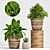 Elegant Greenery Collection: 128-Piece Plant Set 3D model small image 3