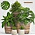 Elegant Greenery Collection: 128-Piece Plant Set 3D model small image 7
