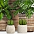 Elegant Greenery Collection: 128-Piece Plant Set 3D model small image 9