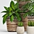 Elegant Greenery Collection: 128-Piece Plant Set 3D model small image 10