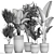 Exotic Plant Collection: Indoor & Outdoor Decor 3D model small image 5