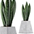 Modern Agave Plant Collection 3D model small image 1