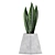 Modern Agave Plant Collection 3D model small image 2