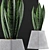 Modern Agave Plant Collection 3D model small image 3