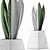 Modern Agave Plant Collection 3D model small image 4