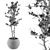 Greenery Haven: Annefleurs Indoor Plants 3D model small image 4
