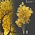 Autumn Summit Green Ash Tree 3D model small image 1