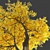 Autumn Summit Green Ash Tree 3D model small image 2